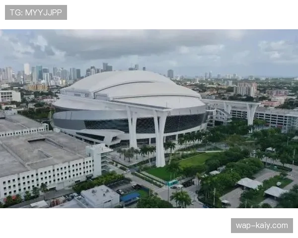 迈阿密马林鱼队主场贷款公园将进行大规模座椅更换工程